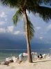 Palmen am Strand von Key Largo